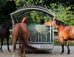 CG hay net cover - 3,00 m x 3,00 m- for feeders