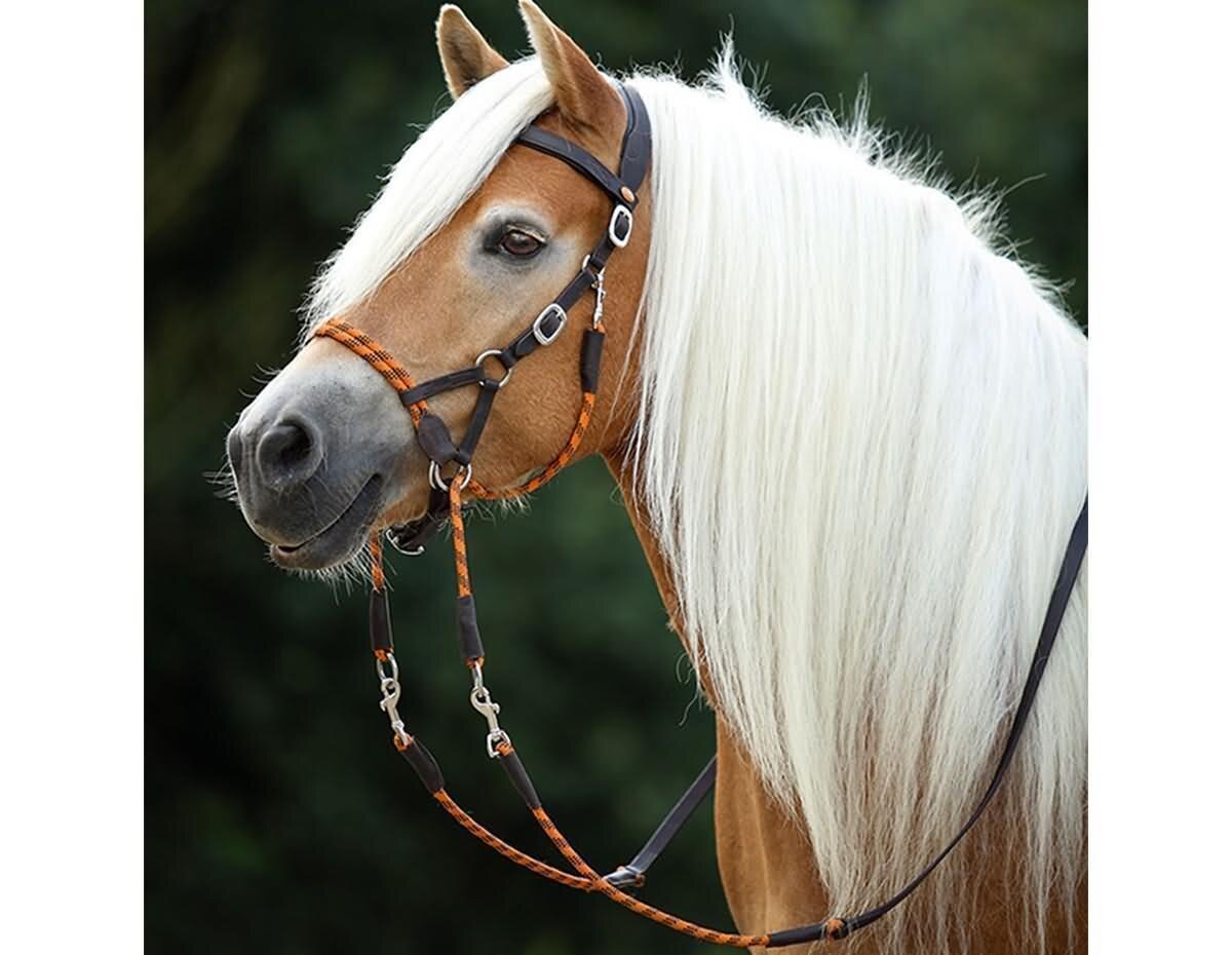 Bride Western Sans Mors Challenger - Sidepull - Cuir Brun Avec Tournesols