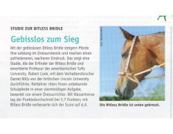 BITLESS BRIDLE Western Style braun VB
