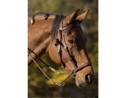 BITLESS BRIDLE Western Style braun VB