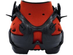 EVO HORSE Evo Boot 1.21 mit farbigen Polstern Sonderpreis