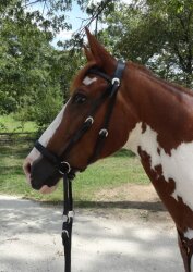 BITLESS BRIDLE Western Style black Full
