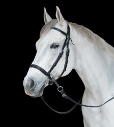 BITLESS BRIDLE Western Style black Full