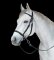 BITLESS BRIDLE Western Style black Full