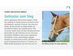 BITLESS BRIDLE Western Deluxe mit Antik Nieten Extra Full (KB) braun