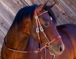 BITLESS BRIDLE Western Deluxe mit Antik Nieten Small (Pony) Natur