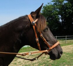 BITLESS BRIDLE Western Deluxe mit Antik Nieten Small (Pony) Natur