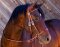 BITLESS BRIDLE Western Deluxe mit Antik Nieten Small (Pony) Natur