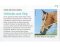 BITLESS BRIDLE Western Deluxe mit Antik Nieten Small (Pony) Natur