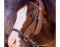BITLESS BRIDLE Western Beta DELUXE Marron Moyen