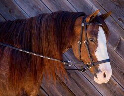 BITLESS BRIDLE Western Beta DELUXE Marron Full