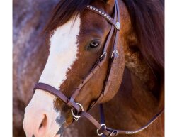 BITLESS BRIDLE Western Beta DELUXE Marron Full