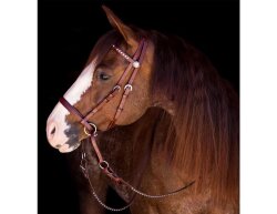 BITLESS BRIDLE Western Beta DELUXE Marron Full