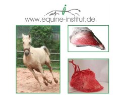 2-day intensive hoof seminar