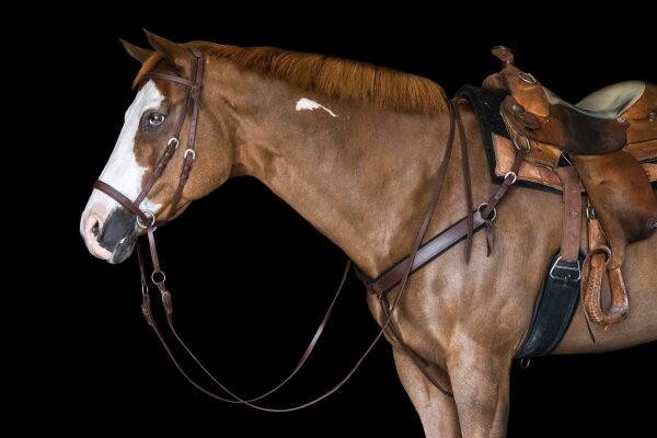 BITLESS BRIDLE Western Beta Marron Full