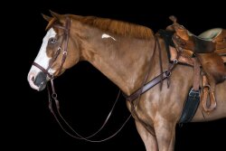 BITLESS BRIDLE Western Beta Braun Full