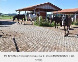 TTE MultiDrain-Plus 2000 0 32 sqm diamond studs grey (approx. 8.7kg) Active stable