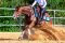 TTE® System - Reining Platz