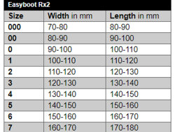 EASYCARE Easyboot RX2 therapy shoe - single shoe