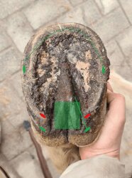 Hoof analysis and advice