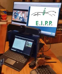 EIPP Online-Kurs "Hufabszess - Wie gehe ich damit um und was bedeutet das?" -  Do.  5. Juni 2025 ab 19:00 Uhr - 2 h