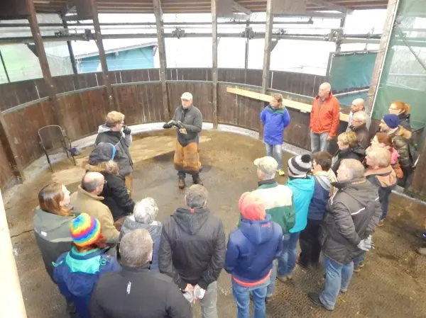 Hufkurse und Hufseminare des E.I.P.P. Deutschlandweit