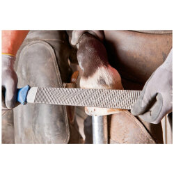 PFERD Hufhobel mit Heft 350mm zur Hufbearbeitung