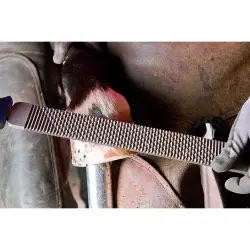 Rabot pour maréchaux-ferrants de PFERD 350 mm -...