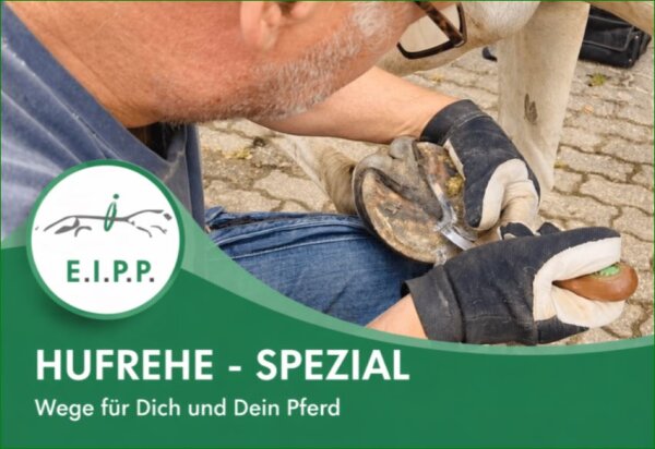 Expertenberatung zum Thema Hufrehe:  11.05.2026 um 19 Uhr • 2-3h Online • Expertenberatung-Hufrehe
