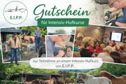 Huf Check up-Geschenk