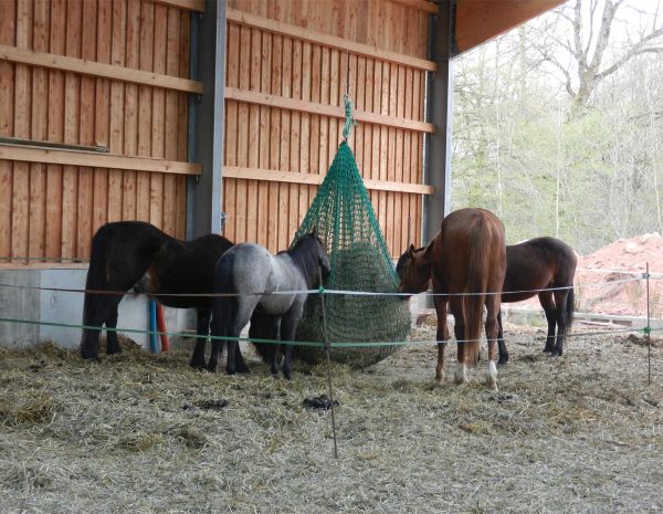 Heunetz Pferd Rundballen